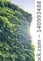 Lush green ivy covers the wall. 140993488