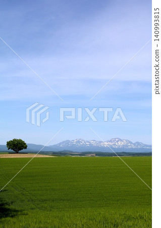 Hokkaido in June, Hokkaido in spring, Hokkaido in early summer: The town of Biei and the Tokachi Mountain Range viewed from the Northwest Hill Observation Park in Biei, a town of rolling hills. Hokkaido in June, Hokkaido in spring, Hokkaido in early summer: The town of Biei and the Tokachi Mountain Range viewed from the Northwest Hill Observation Park in Biei, a town of rolling hills. 140993815