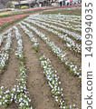 Blue flower garden 140994035