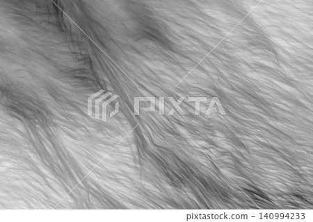 Grey soft wool pattern texture abstract gray fluffy fur background structure backdrop Grey soft wool pattern texture abstract gray fluffy fur background structure backdrop 140994233