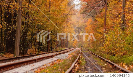 Autumn forest road with colorful leaves and trees Autumn forest road with colorful leaves and trees 140994345