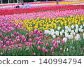 Strolling through tulip fields is one of the joys of spring. 140994794