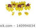 yellow flowers orchids arrangement flat lay postcard style  140994834