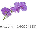 purple flowers orchids arrangement flat lay postcard style  140994835