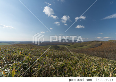 A hill covered in bamboo grass with a blue sky and white clouds. A hill covered in bamboo grass with a blue sky and white clouds. 140994943
