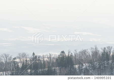 被冬霧籠罩的防風林和雪原。 被冬霧籠罩的防風林和雪原。 140995101