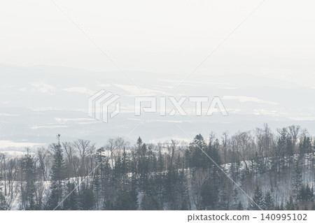 A windbreak forest and snowfield shrouded in winter mist. A windbreak forest and snowfield shrouded in winter mist. 140995102