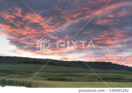 Grasslands at dawn and pink morning clouds Grasslands at dawn and pink morning clouds 140995262