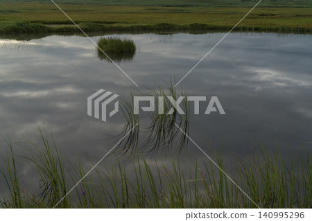 The mirror-like surface of the wetland and the reeds The mirror-like surface of the wetland and the reeds 140995296