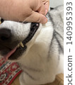 西伯利亞哈士奇的嘴 140995393
