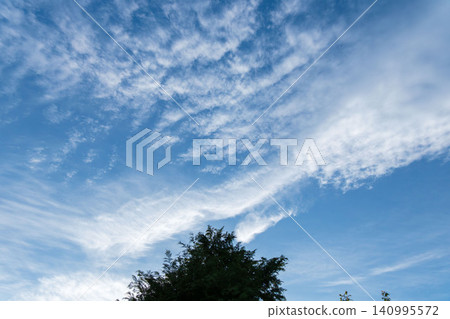 1965年5月黃昏時分,天空、雲朵和樹木的輪廓 1965年5月黃昏時分,天空、雲朵和樹木的輪廓 140995572