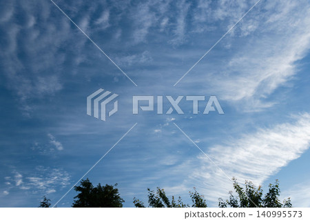 Silhouettes of the sky, clouds, and trees at dusk in May 66 Silhouettes of the sky, clouds, and trees at dusk in May 66 140995573