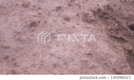 Dry Mud Crust with Dark Fissure and Debris 140996023