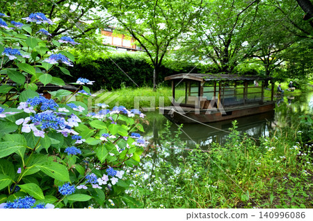 Jikkoku boats and hydrangeas in Fushimi, Kyoto Jikkoku boats and hydrangeas in Fushimi, Kyoto 140996086