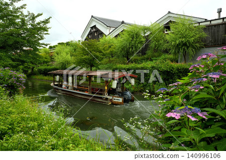 Jikkoku boats and hydrangeas in Fushimi, Kyoto Jikkoku boats and hydrangeas in Fushimi, Kyoto 140996106