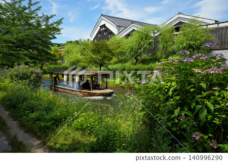 Jikkoku boats and hydrangeas in Fushimi, Kyoto Jikkoku boats and hydrangeas in Fushimi, Kyoto 140996290