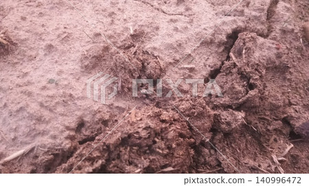 Parched Field Ground with Tiny Animal Burrow Hole Parched Field Ground with Tiny Animal Burrow Hole 140996472