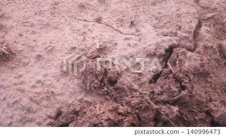 Arid Crusty Soil Texture with Fine Fissures Arid Crusty Soil Texture with Fine Fissures 140996473