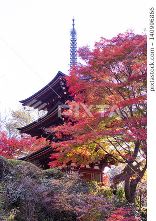 Autumn at Okadera Temple Autumn at Okadera Temple 140996866