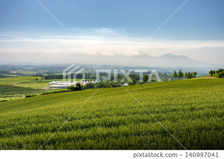 A landscape of the hills of Furano and Biei, photographed under the clear skies of early summer. A landscape of the hills of Furano and Biei, photographed under the clear skies of early summer. 140997041