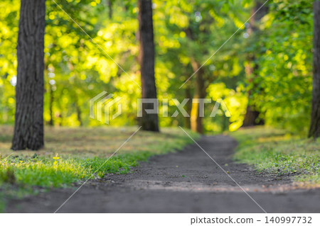 Sunlit forest path winding through lush green woodland. Soft morning light filtering between tall trees. Peaceful nature trail for hiking mindfulness wellbeing background Sunlit forest path winding through lush green woodland. Soft morning light filtering between tall trees. Peaceful nature trail for hiking mindfulness wellbeing background 140997732