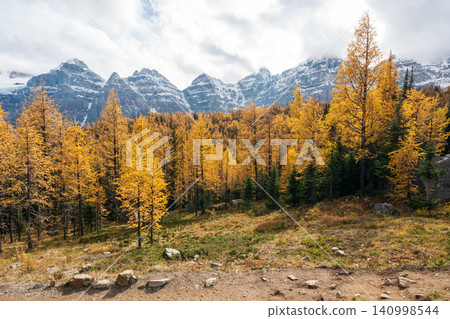 A hiking trail in Larch Valley. The golden larch forest and the Ten Peaks valley in the background. Banff National Park. A hiking trail in Larch Valley. The golden larch forest and the Ten Peaks valley in the background. Banff National Park. 140998544