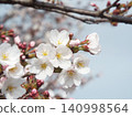 Sakura and spring sky 140998564