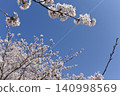 Sakura and spring sky 140998569