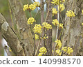 Flower of Sanshui 140998570