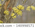 Flower of Sanshui 140998571