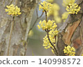 Flower of Sanshui 140998572