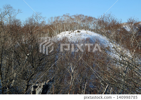 A herd of deer found in the mountains surrounding Lake Mashu in Hokkaido. 140998785