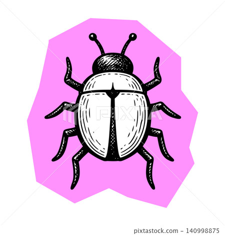 Beetle illustration in black and white line art on pink background for sticker or icon design 140998875