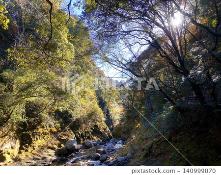 A valley where sunlight filters through the trees and the river flows quietly. A valley where sunlight filters through the trees and the river flows quietly. 140999070