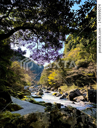 A river flowing through the valley and lush trees A river flowing through the valley and lush trees 140999074