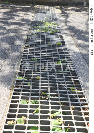 weeds growing in the gutter weeds growing in the gutter 140999405