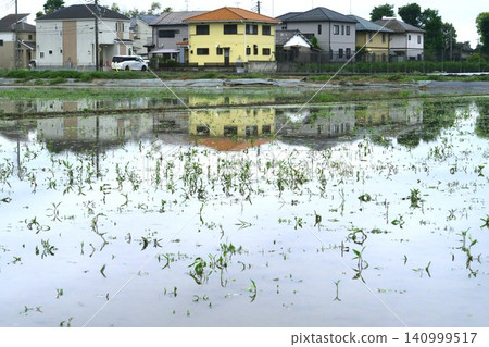 A scene of rice paddies filled with water before rice planting. A scene of rice paddies filled with water before rice planting. 140999517