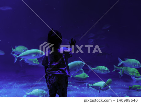 孩子的背影,他把手放在深藍色、波光粼粼的水族箱上,專注地凝視著一群魚。 孩子的背影,他把手放在深藍色、波光粼粼的水族箱上,專注地凝視著一群魚。 140999640