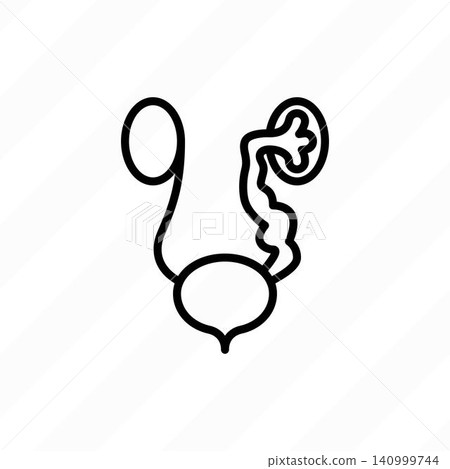 Vesicoureteral reflux. Urine flows backward from bladder into kidneys. Urinary reflux. Thin line icon. Healthcare vector illustration. Vesicoureteral reflux. Urine flows backward from bladder into kidneys. Urinary reflux. Thin line icon. Healthcare vector illustration. 140999744