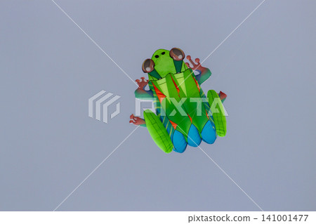 A Frog Kite Flying In The Air. 141001477