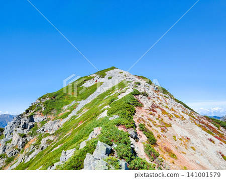 秋季攀登哈里諾基山和蓮華山(從哈里諾基峠登頂哈里諾基山) 秋季攀登哈里諾基山和蓮華山(從哈里諾基峠登頂哈里諾基山) 141001579