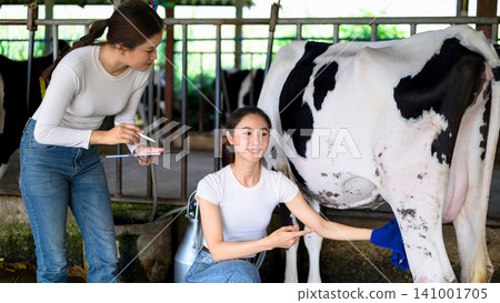 Dairy workers cleaning cow udder and recording hygiene before milking Dairy workers cleaning cow udder and recording hygiene before milking 141001705