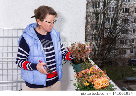 A 50-year-old woman tends to autumn flowers on her balcony. She focuses on each plant with care while surrounded by city buildings. It is a cool afternoon in the fall season A 50-year-old woman tends to autumn flowers on her balcony. She focuses on each plant with care while surrounded by city buildings. It is a cool afternoon in the fall season 141001934