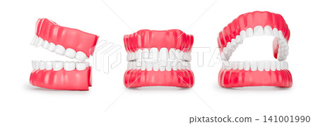Three 3D rendered denture jaw models displayed from multiple angles, ideal for dental clinic, oral health, and medical education commercial use. Three 3D rendered denture jaw models displayed from multiple angles, ideal for dental clinic, oral health, and medical education commercial use. 141001990