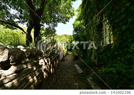 A hut surrounded by green A hut surrounded by green 141002196