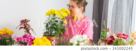 Woman 50 years old transplanting autumn flowers chrysanthemums and heathers into pots and holding a pot with a chrysanthemum and smiling, decorating a home terrace or balcony with flowers, banner 141002245