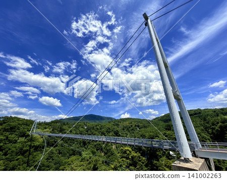 The Kokonoe Yume Suspension Bridge, the tallest pedestrian suspension bridge in Japan, spans the Narukogawa Gorge in Kokonoe Town, Oita Prefecture. The Kokonoe Yume Suspension Bridge, the tallest pedestrian suspension bridge in Japan, spans the Narukogawa Gorge in Kokonoe Town, Oita Prefecture. 141002263