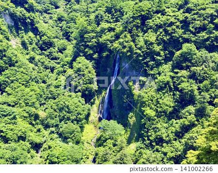 The Kokonoe Yume Suspension Bridge, the tallest pedestrian suspension bridge in Japan, spans the Narukogawa Gorge in Kokonoe Town, Oita Prefecture. The Kokonoe Yume Suspension Bridge, the tallest pedestrian suspension bridge in Japan, spans the Narukogawa Gorge in Kokonoe Town, Oita Prefecture. 141002266