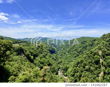 The Kokonoe Yume Suspension Bridge, the tallest pedestrian suspension bridge in Japan, spans the Narukogawa Gorge in Kokonoe Town, Oita Prefecture. 141002267