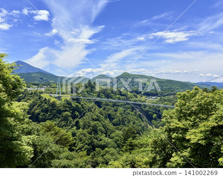 The Kokonoe Yume Suspension Bridge, the tallest pedestrian suspension bridge in Japan, spans the Narukogawa Gorge in Kokonoe Town, Oita Prefecture. The Kokonoe Yume Suspension Bridge, the tallest pedestrian suspension bridge in Japan, spans the Narukogawa Gorge in Kokonoe Town, Oita Prefecture. 141002269